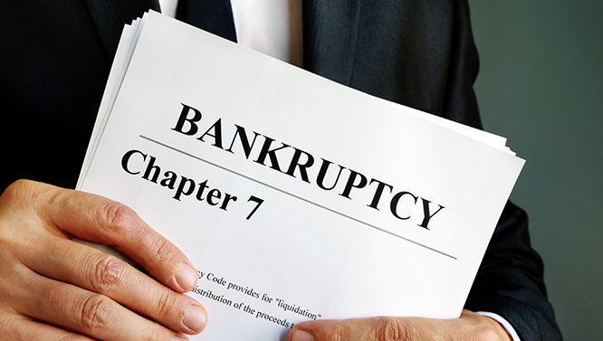 Chapter 7 Bankruptcy